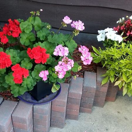 Wild Rose Bed & Breakfast Saskatoon Esterno foto