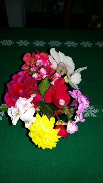Wild Rose Bed & Breakfast Saskatoon Esterno foto